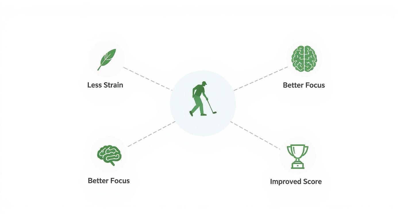 Infographic about pull carts for golf bags