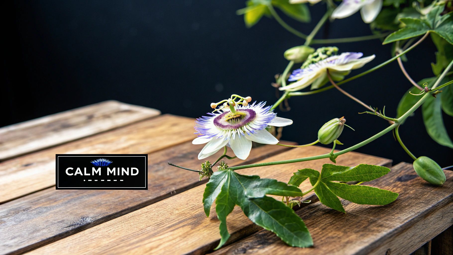Passionflower (Passiflora incarnata)