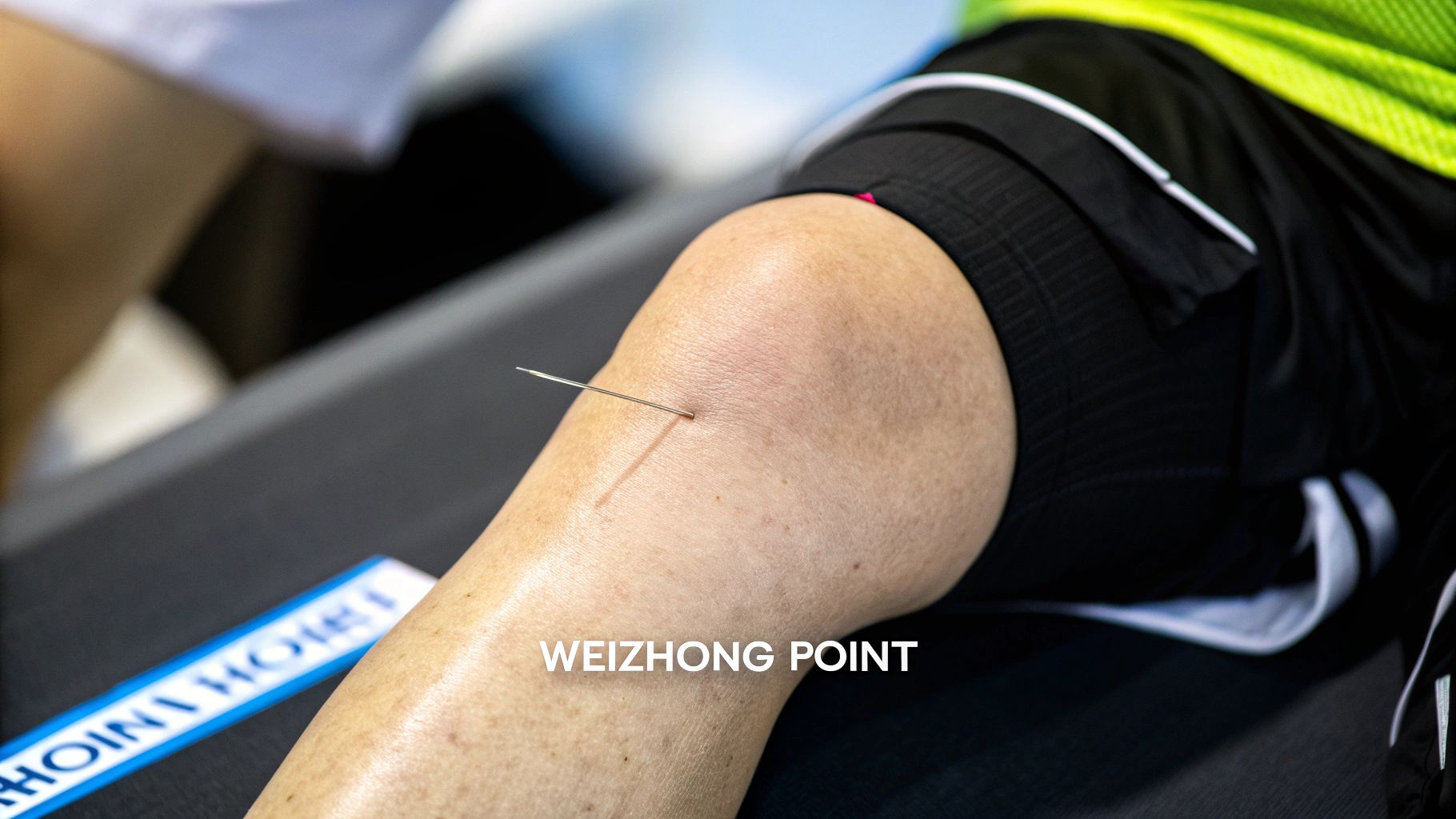 BL40 - Weizhong (Bend Middle)