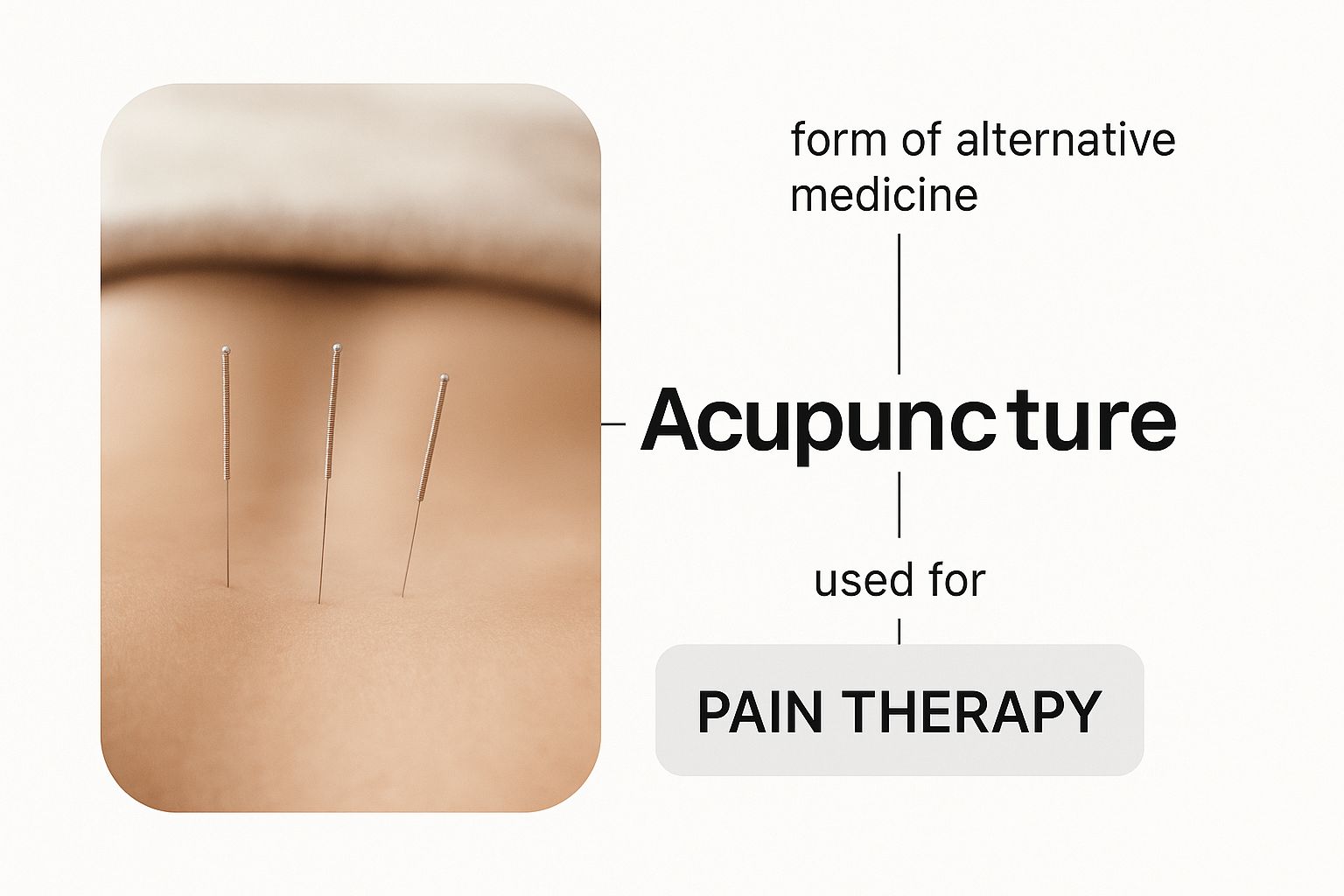Holistic Medicine for Chronic Pain Relief Infographic about holistic medicine for chronic pain