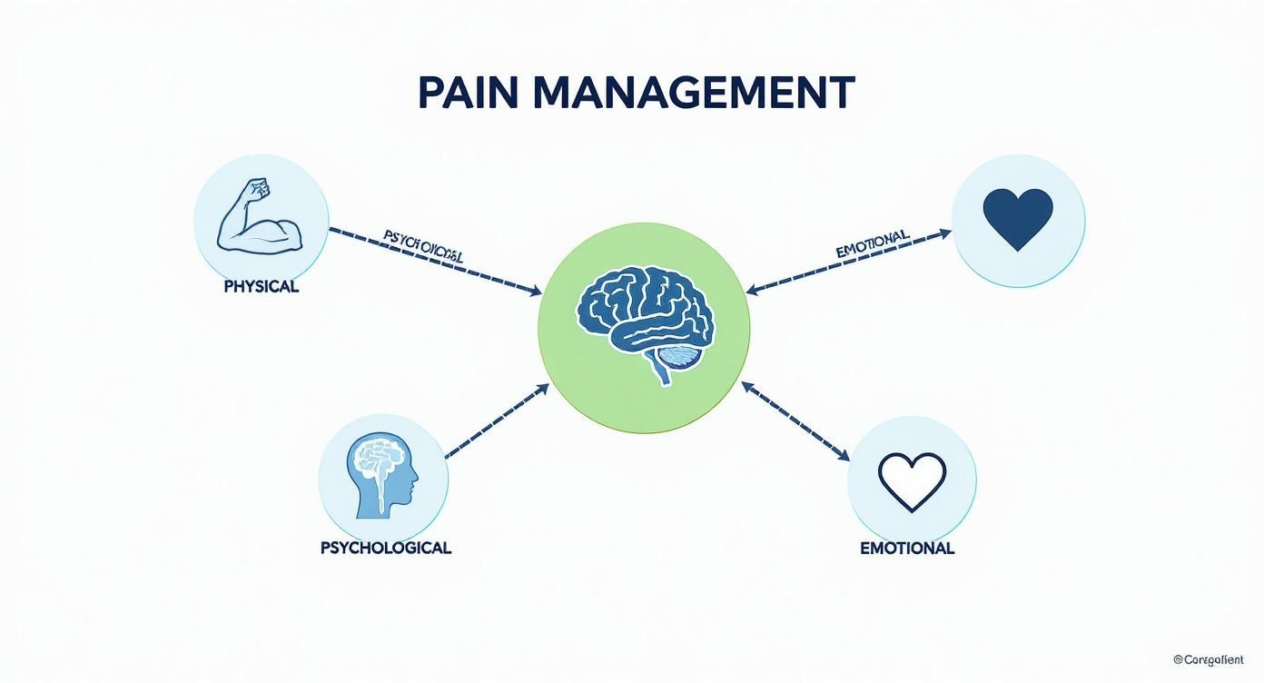 Infographic about multi specialty pain management