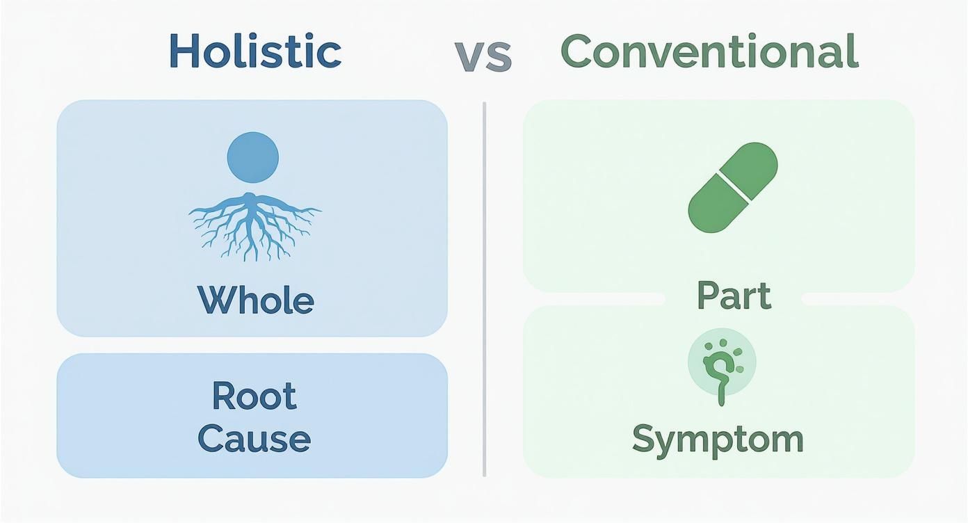 Infographic about holistic approach to pain management