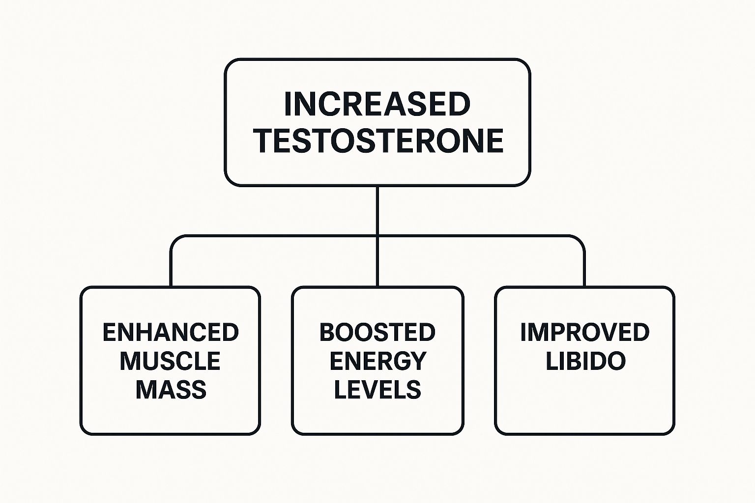 Natural Testosterone Booster Herbs That Actually Work Infographic about natural testosterone booster herbs