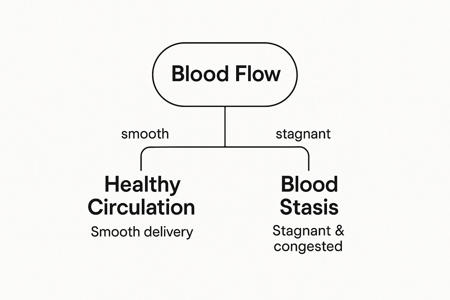 What is Blood Stasis? Symptoms, Causes & Treatments Explained Infographic about what is blood stasis