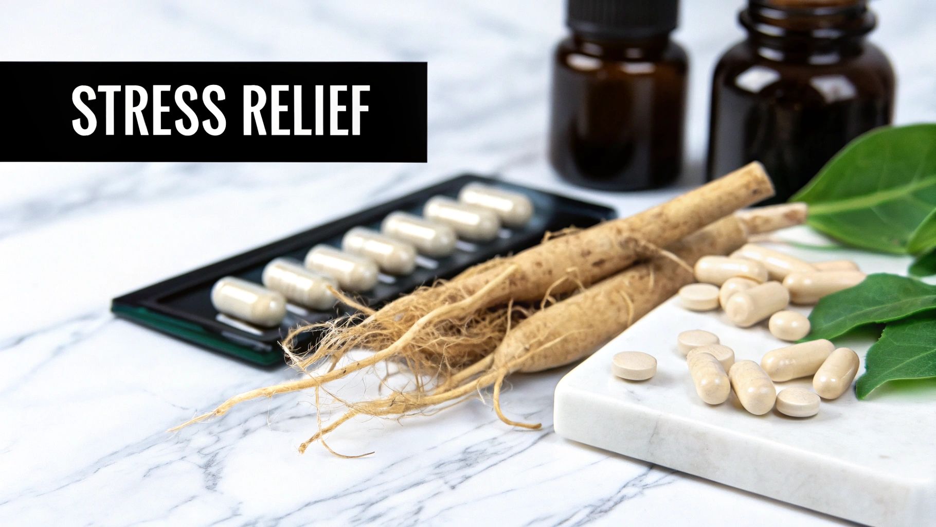 Top 8 Best Herbs for Hormone Balance You Need to Know Ashwagandha (Withania somnifera)