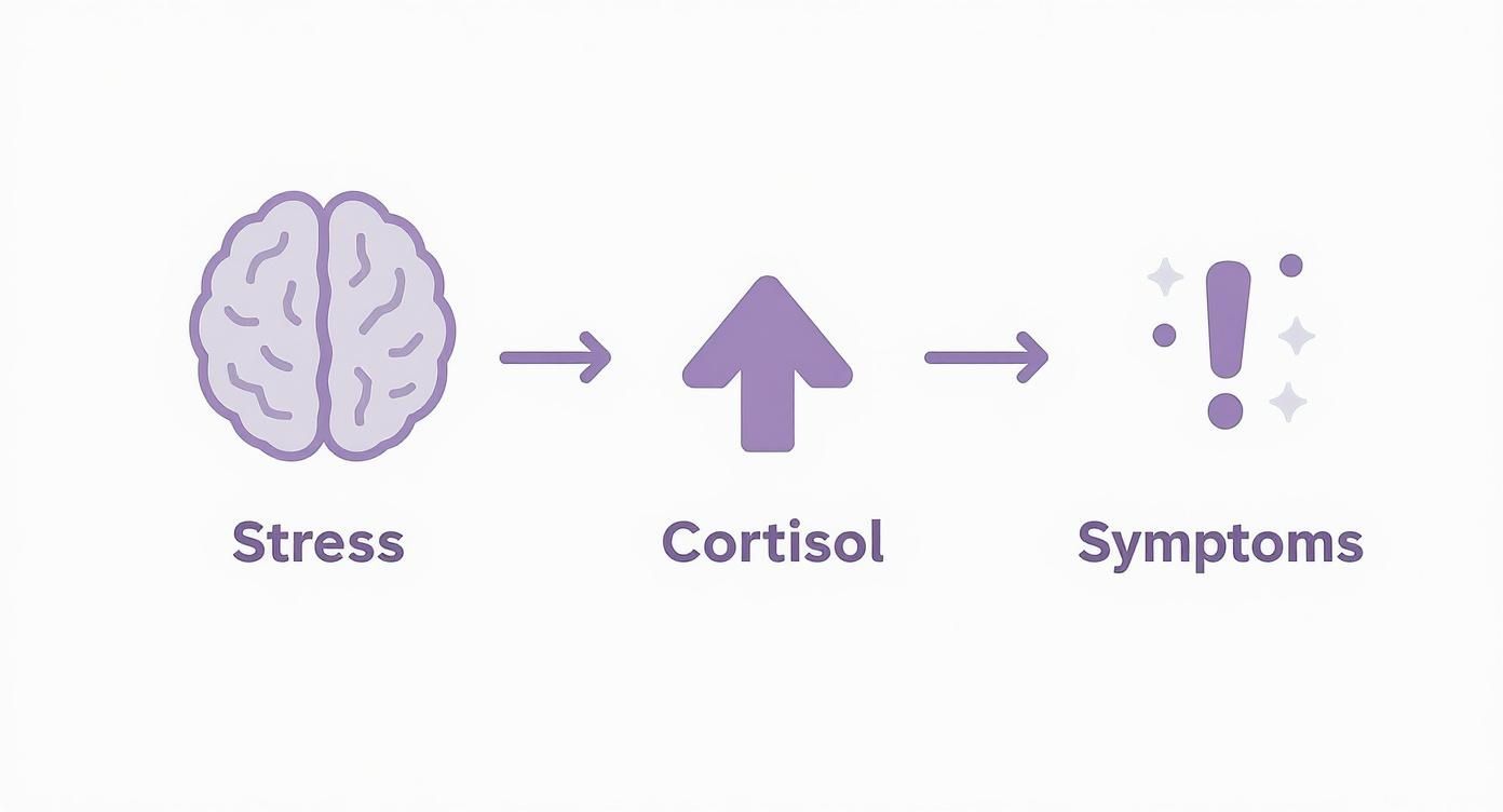 Diagram showing stress triggers cortisol release leading to physical symptoms in body