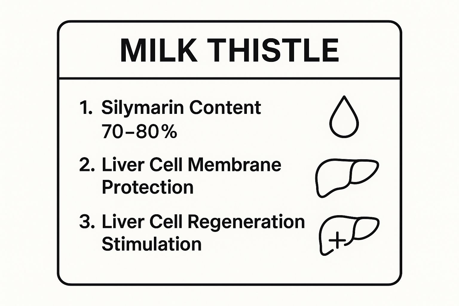 Infographic showing key data about Milk Thistle (Silybum marianum)