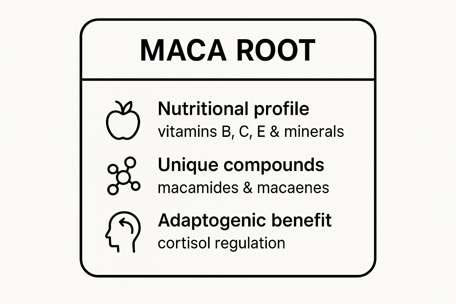 Top 8 Best Herbs for Hormone Balance You Need to Know Infographic showing key data about Maca Root (Lepidium meyenii)