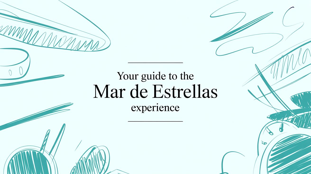 Your Guide to the Mar de Estrellas Experience at Casa Escondida