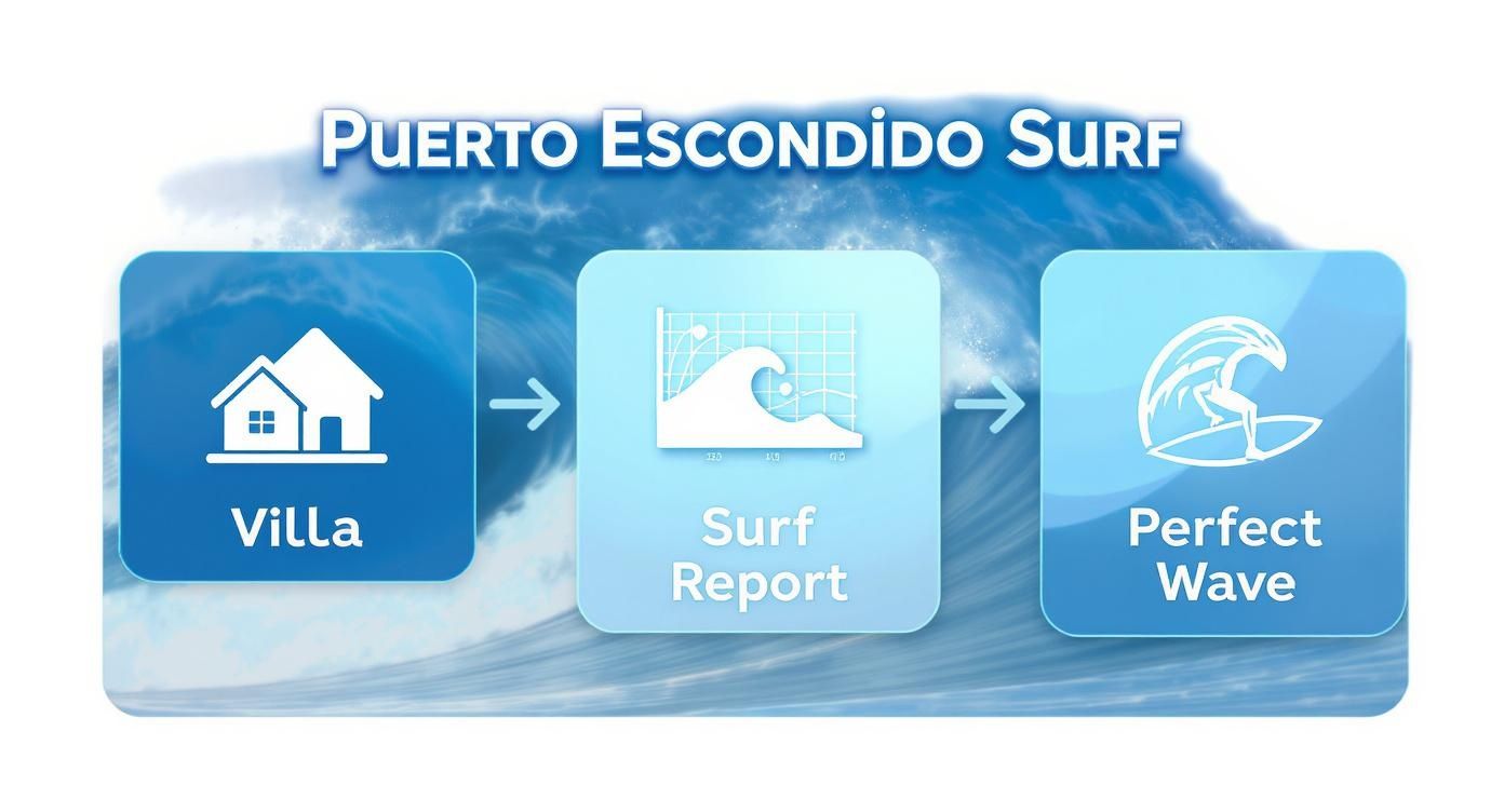 Infographic about puerto escondido surf report