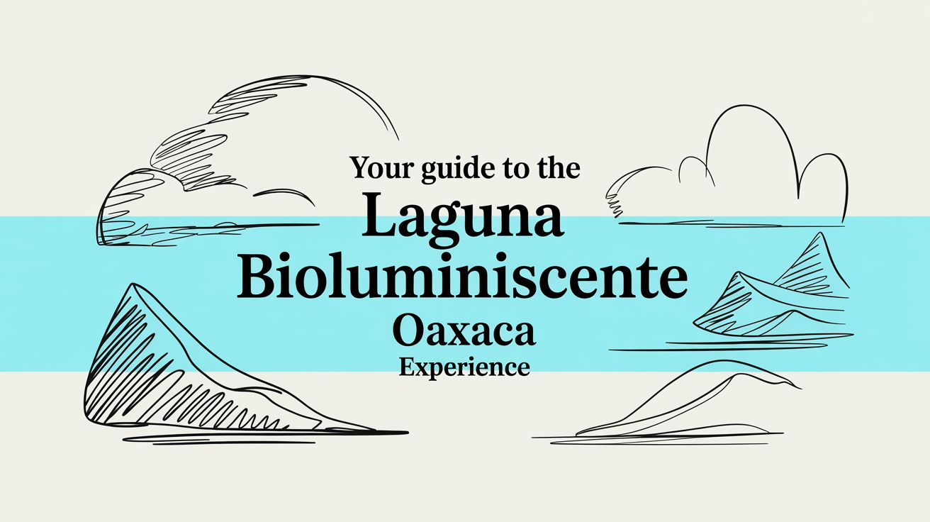 Your Guide to the Laguna Bioluminiscente Oaxaca Experience