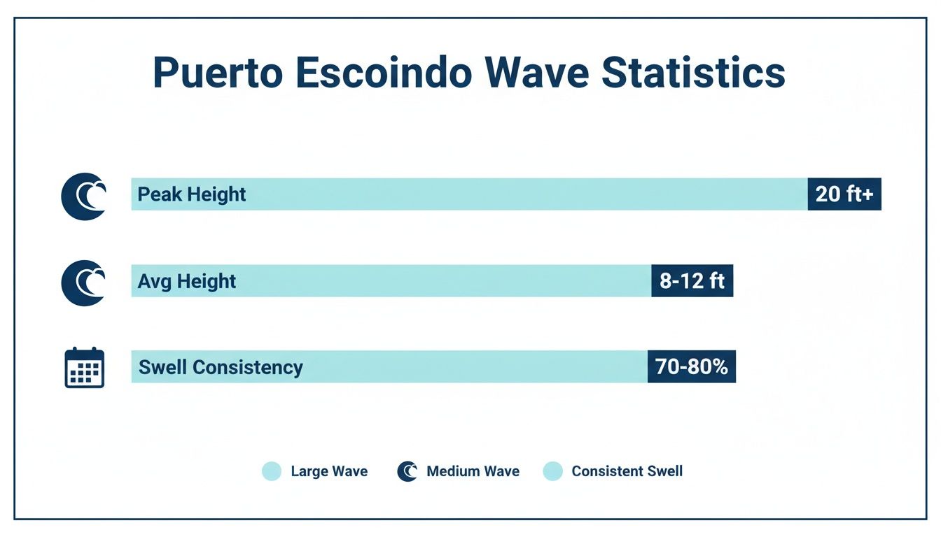 Puerto Escondido wave statistics displaying peak height, average height, and swell consistency data.
