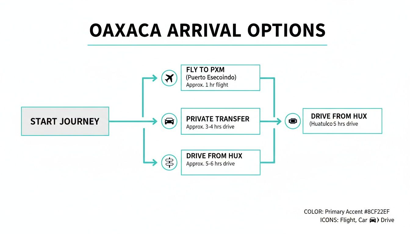 Flowchart displaying Oaxaca arrival options, including flights to PXM, private transfers, and driving from HUX.