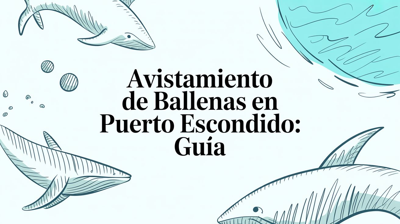 Whale Watching in Puerto Escondido: Your 2024 Guide