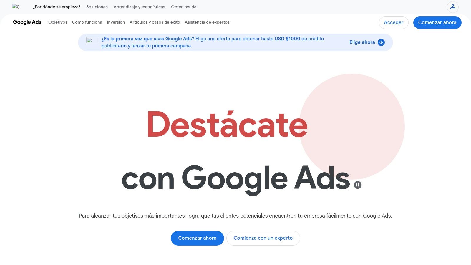 Google Ads (Performance Max)