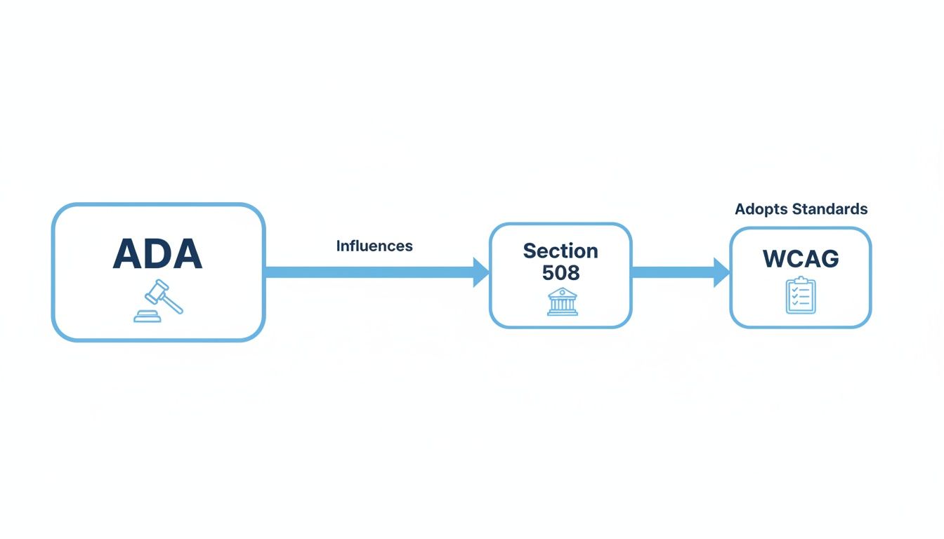 Flowchart showing ADA influences Section 508, which adopts WCAG accessibility standards.