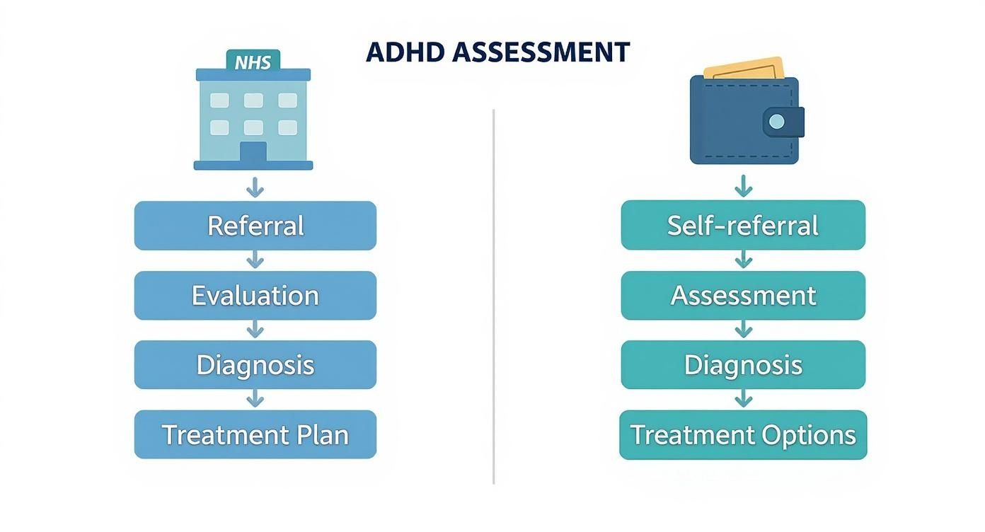 Infographic about adhd assessment uk