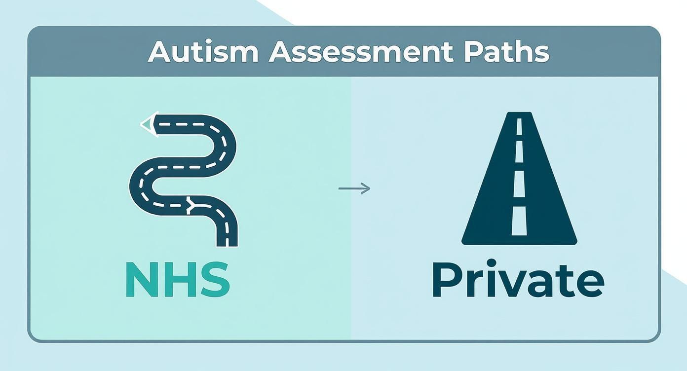 Infographic about private autism assessment uk