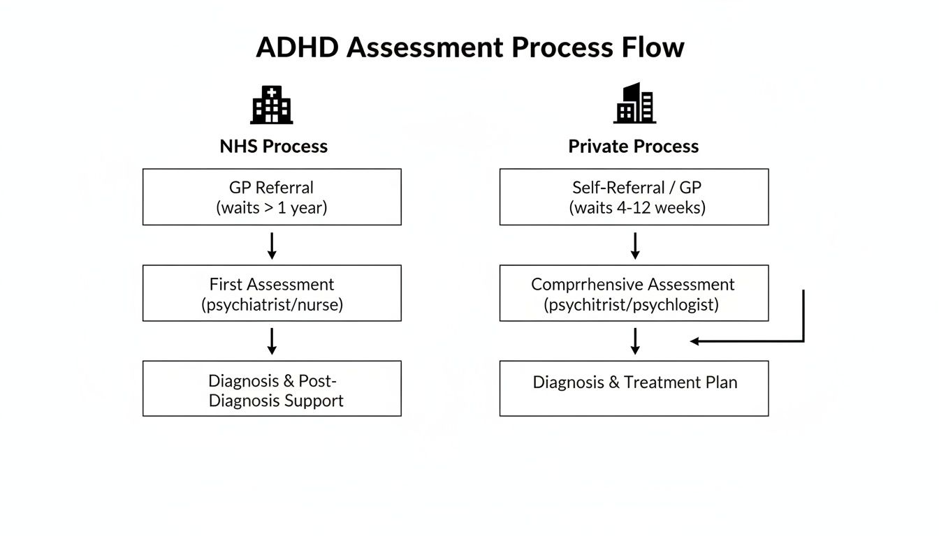 Flowchart comparing NHS and Private ADHD assessment processes, detailing steps, wait times, and professionals.