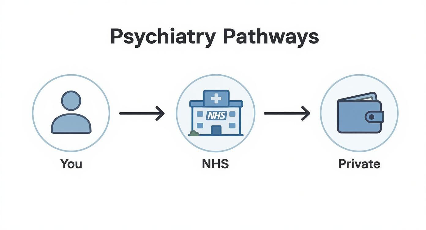 Diagram illustrating pathways for psychiatry services, showing a flow from 'You' to 'NHS' and then to 'Private' options.