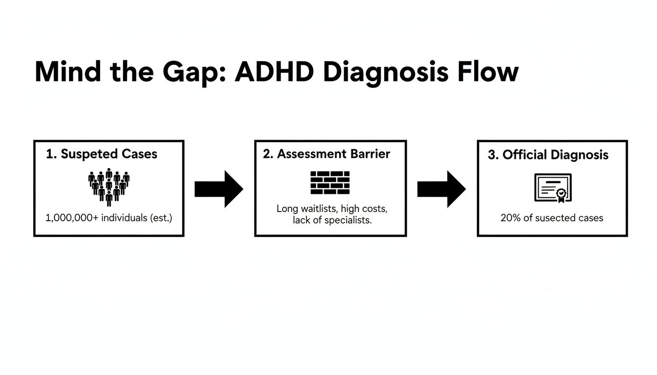 Flowchart illustrating the ADHD diagnosis process, from suspected cases through assessment barriers to official diagnosis.