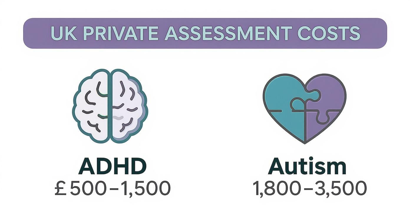 Infographic about private mental health assessment cost