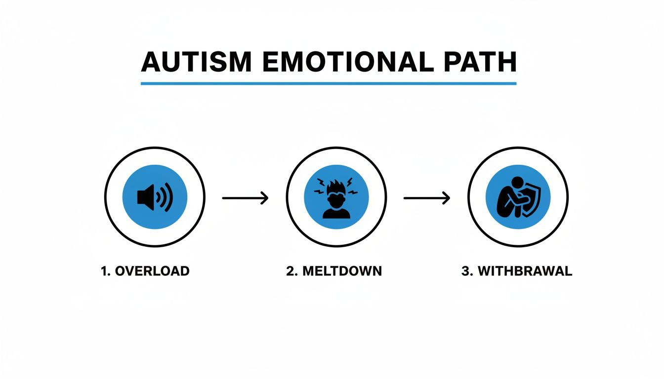 Diagram illustrating the autism emotional path, showing steps: overload, meltdown, and withdrawal.