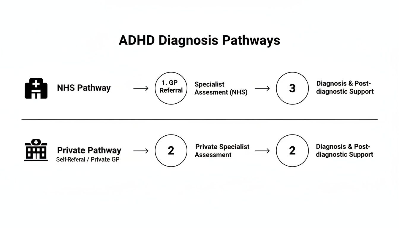A flowchart comparing ADHD diagnosis pathways via NHS and private healthcare services, outlining referral and assessment steps.