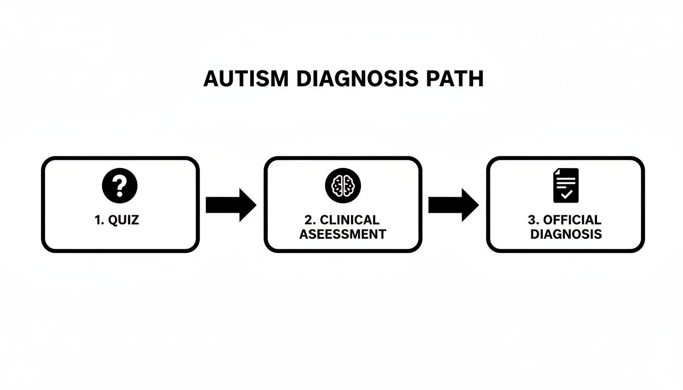 A flowchart shows the three-step autism diagnosis path: quiz, clinical assessment, and official diagnosis.