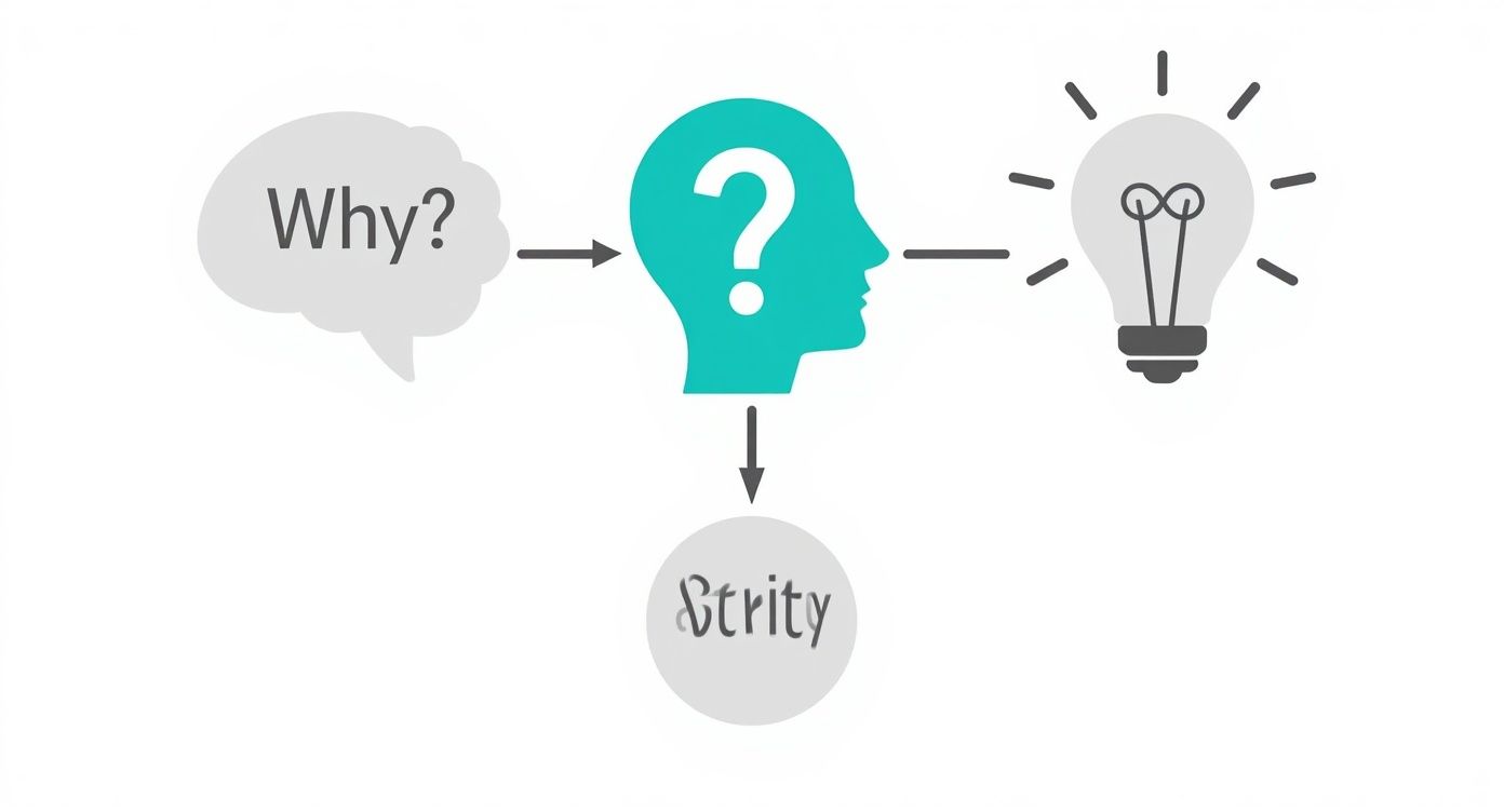 Diagram illustrating the journey from a 'Why?' question to a thinking mind, culminating in an idea and the name 'Stryity'.