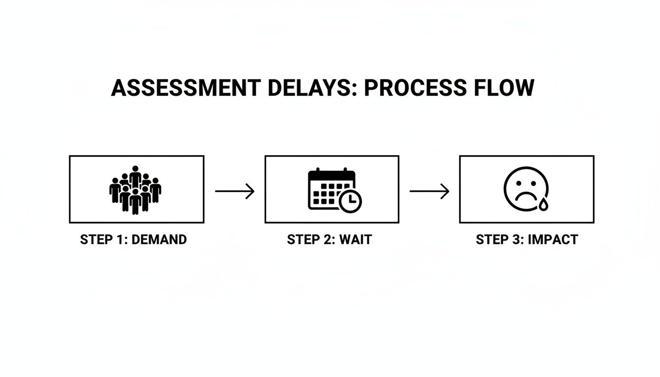Flowchart illustrating assessment delays with steps for demand, waiting, and negative emotional impact.