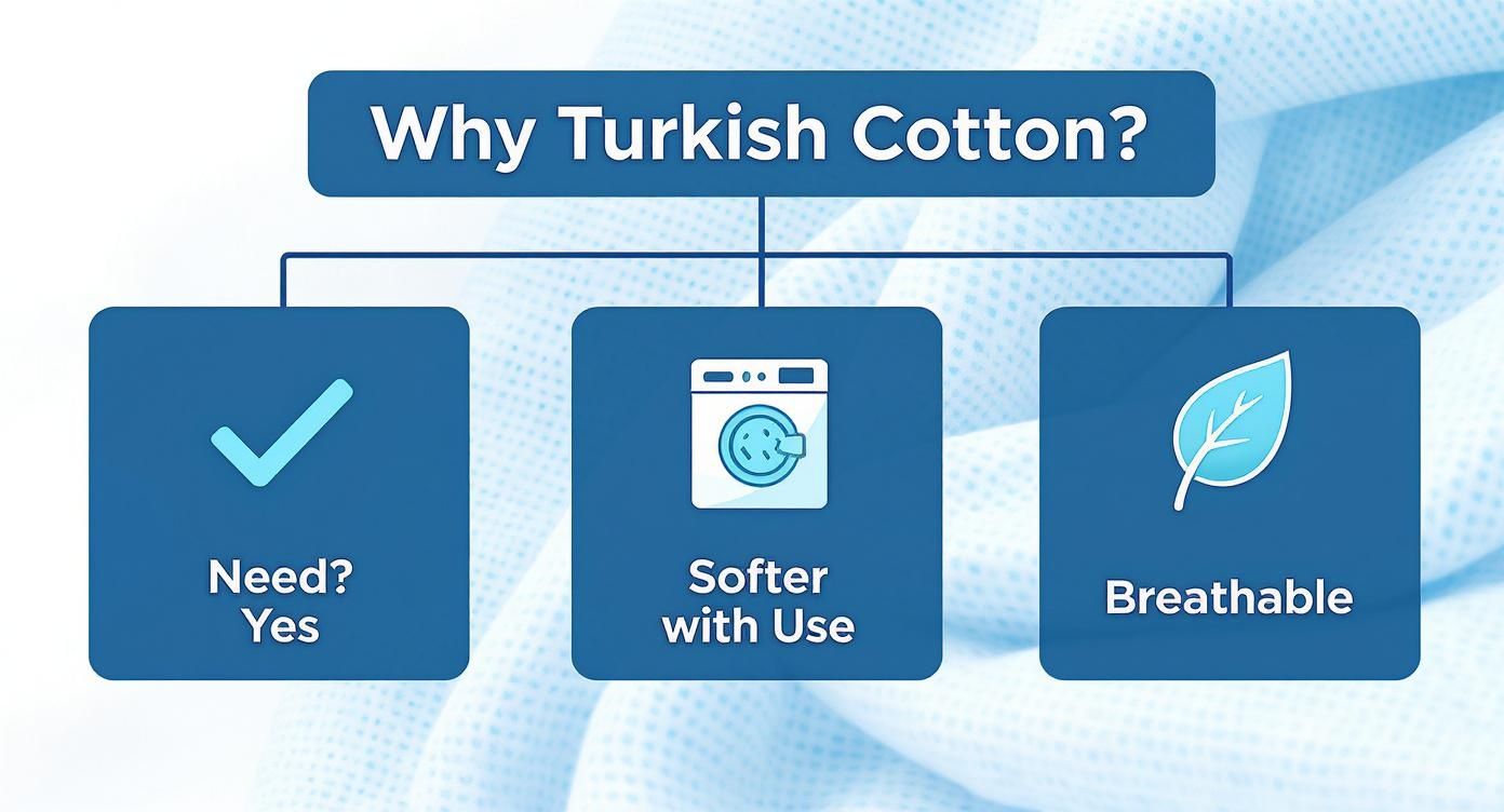 Infographic about turkish cotton blankets