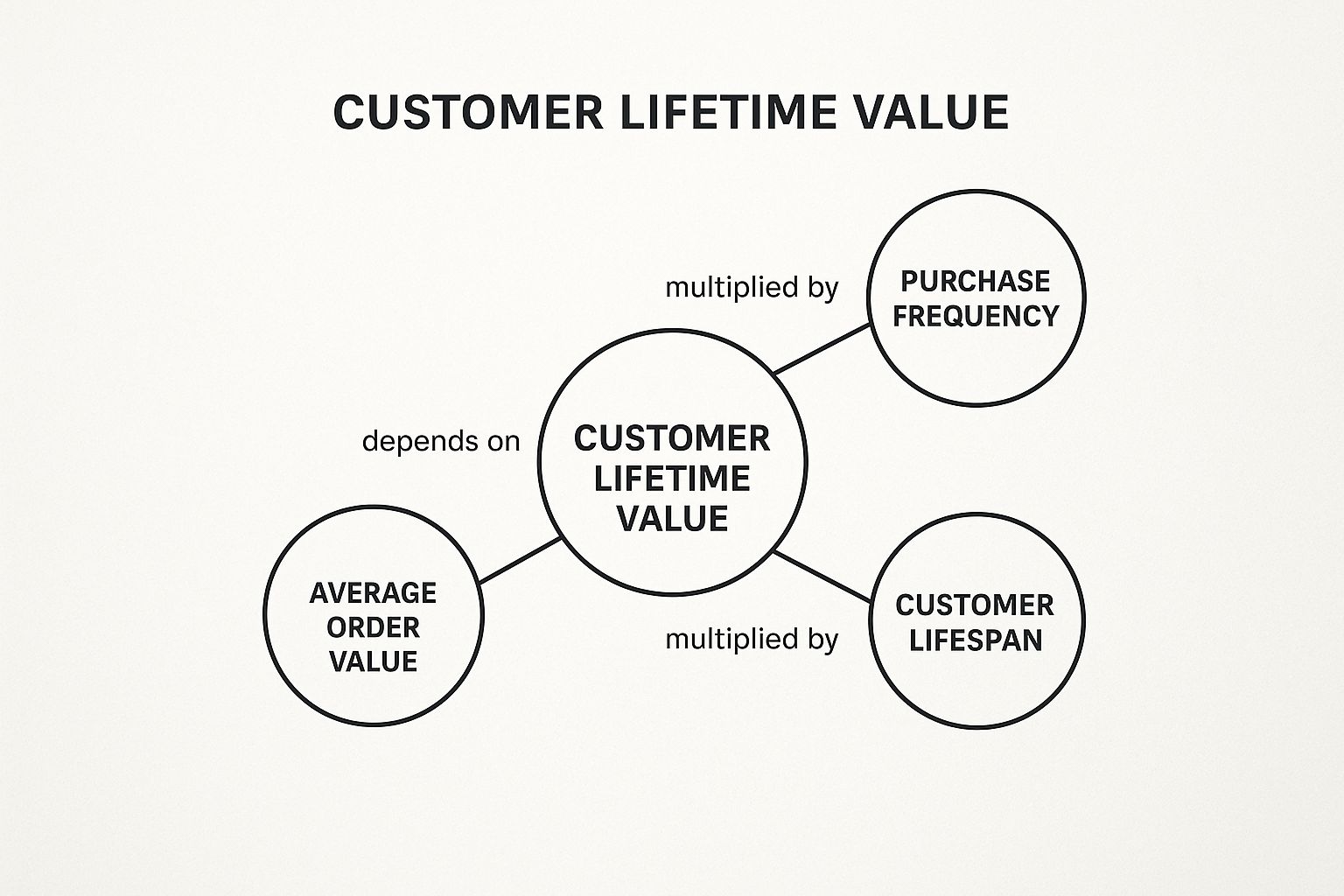 Infographic showing key data about Customer Lifetime Value (CLV or LTV)