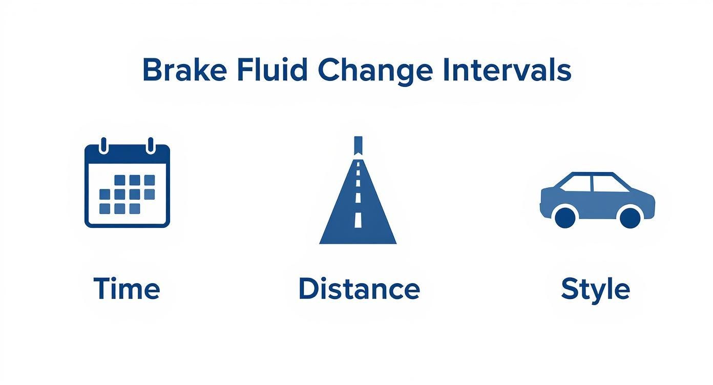 Infographic about how often should brake fluid be changed