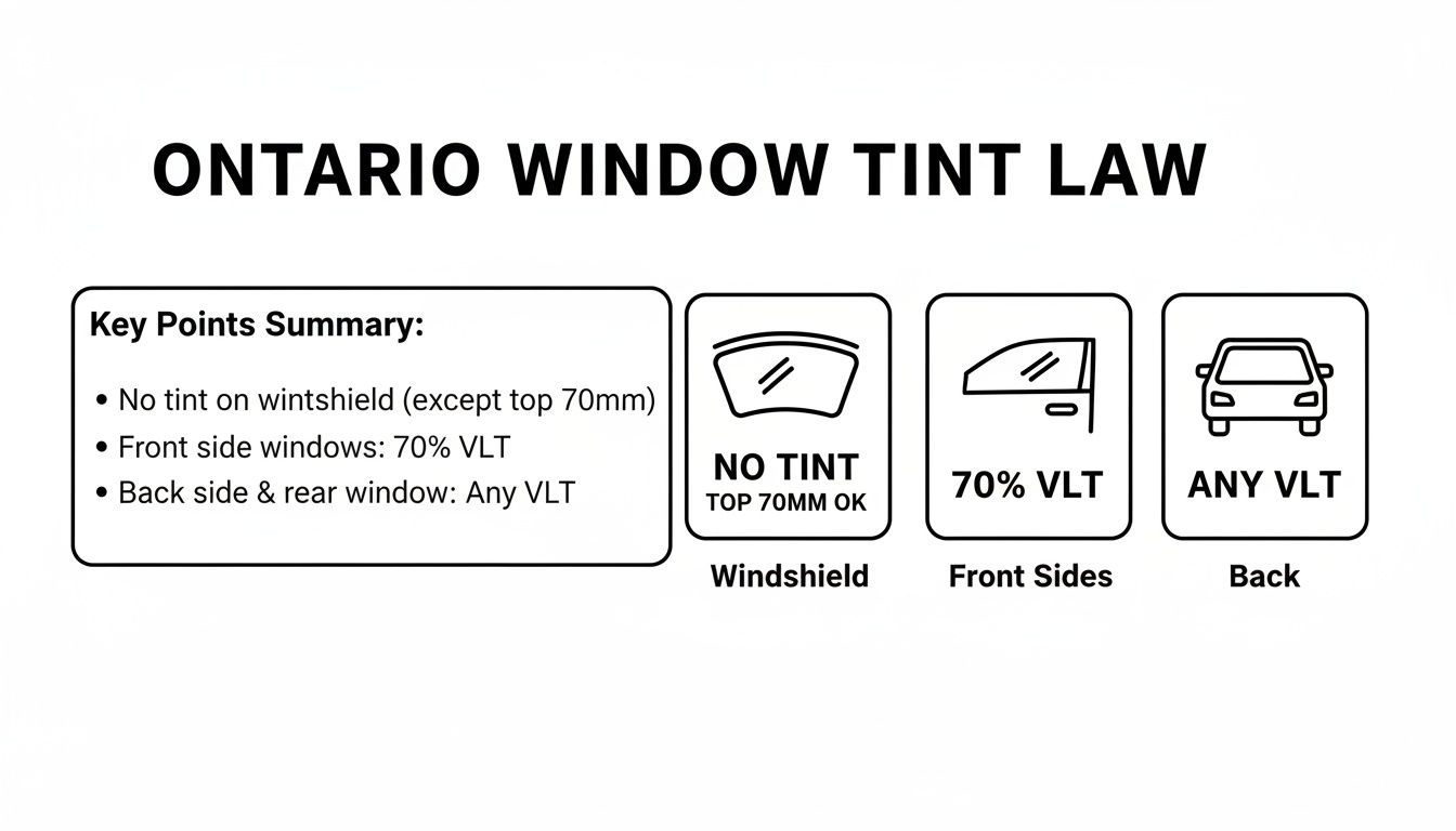 Infographic summarizing Ontario window tinting laws for windshield, front, and back windows.