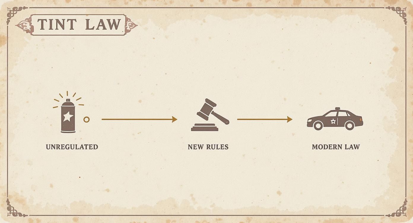 Infographic about window tinting laws