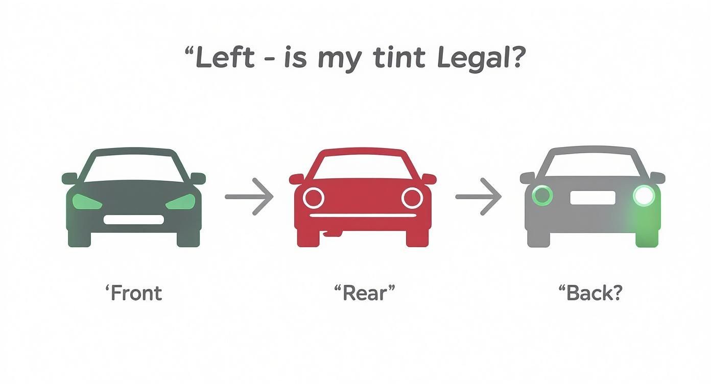 Infographic about best car tinting near me