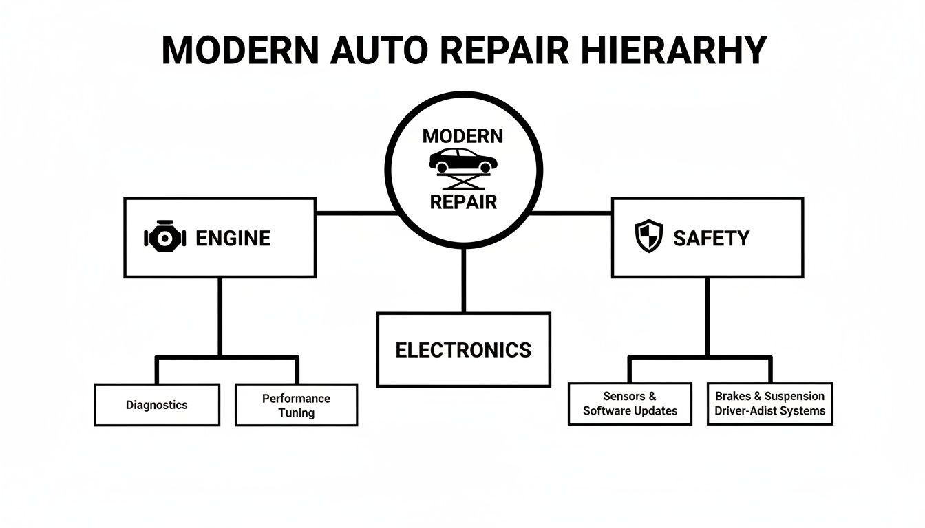 A hierarchy chart illustrating modern auto repair services, including engine diagnostics, performance tuning, electronics, and safety systems.