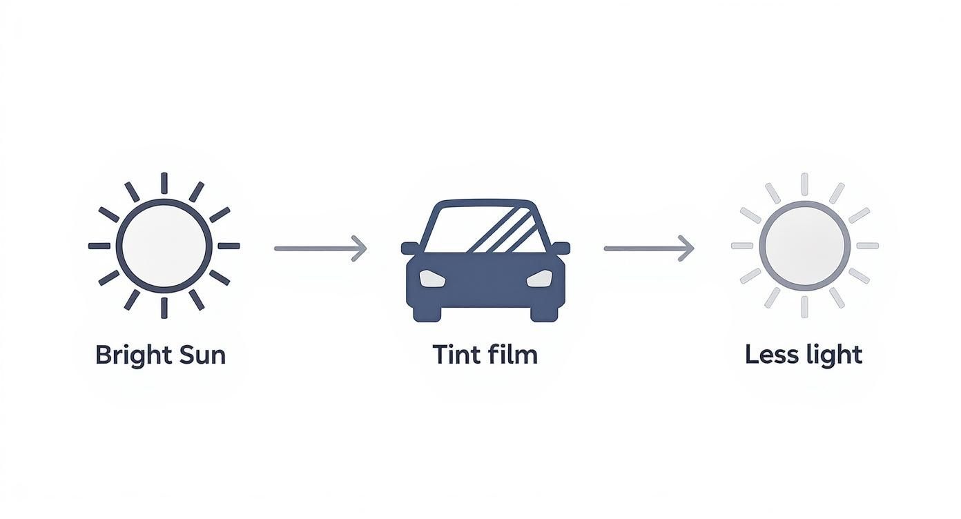 A diagram illustrating bright sun passing through car window tint film, resulting in less light.