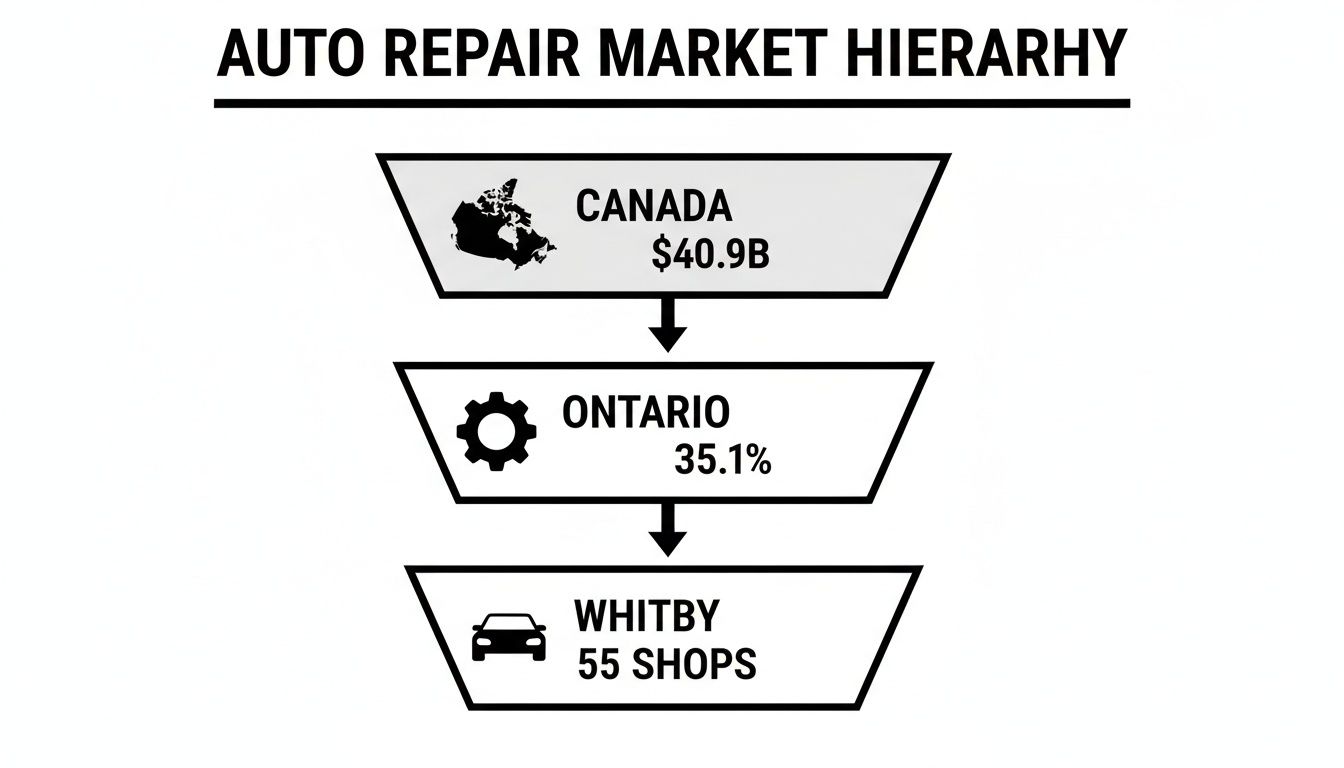 Auto repair market hierarchy diagram showing statistics for Canada, Ontario, and Whitby.