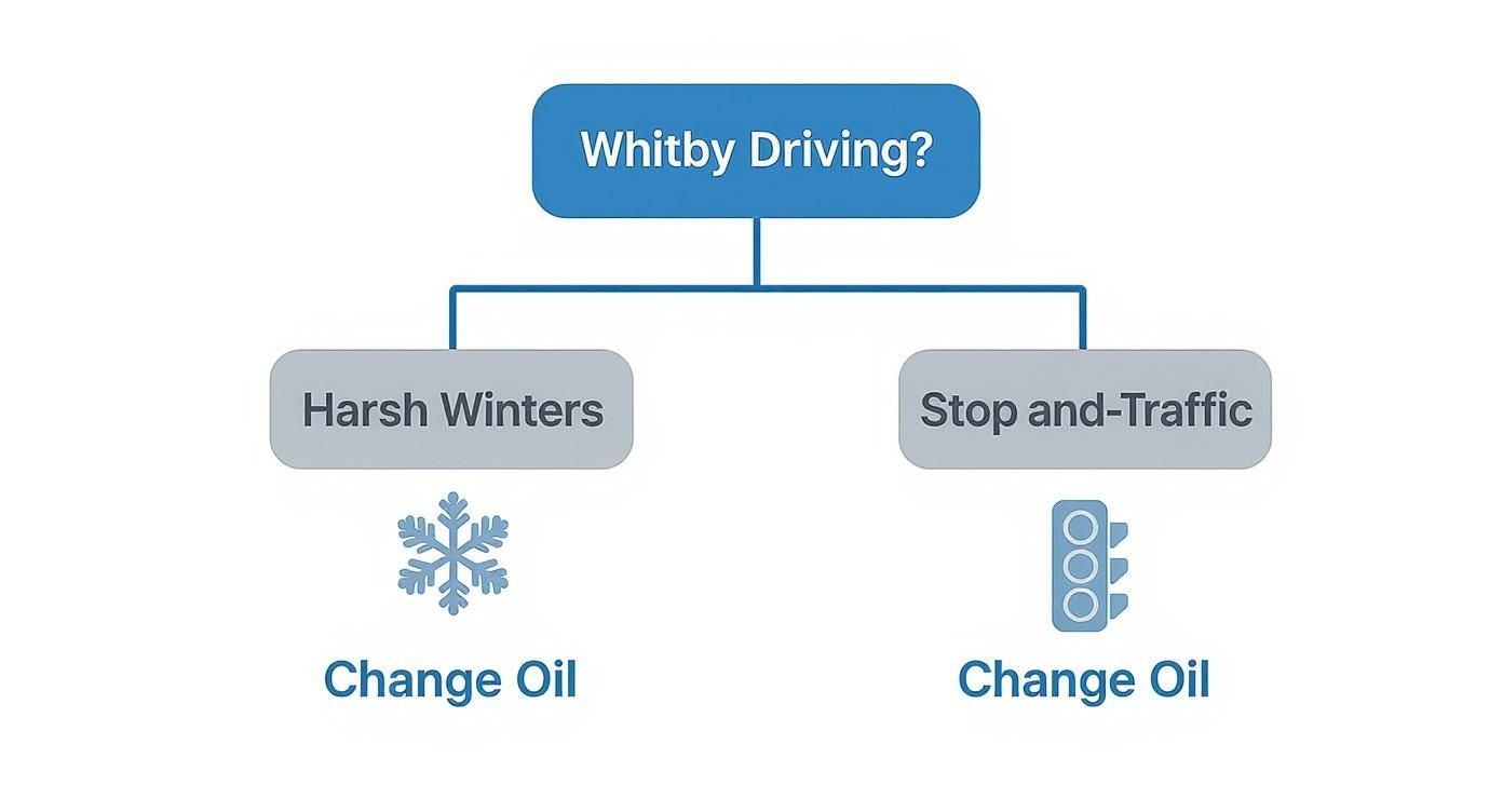 Infographic about oil changes whitby