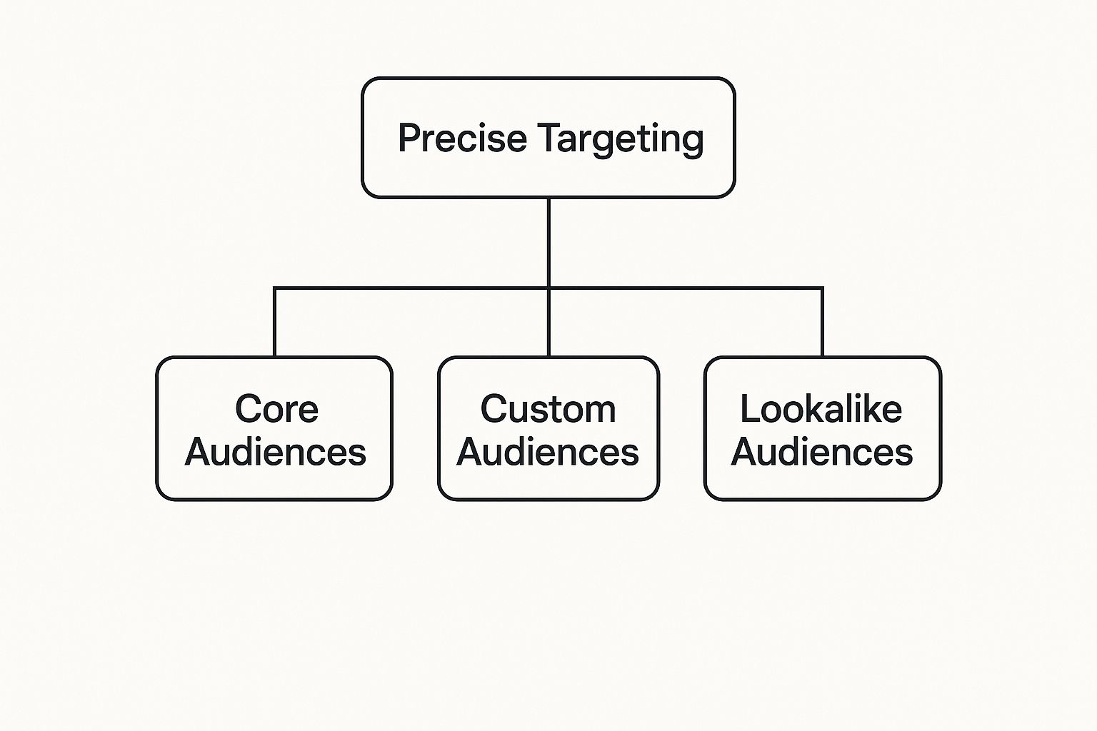 Infographic about facebook ads targeting options