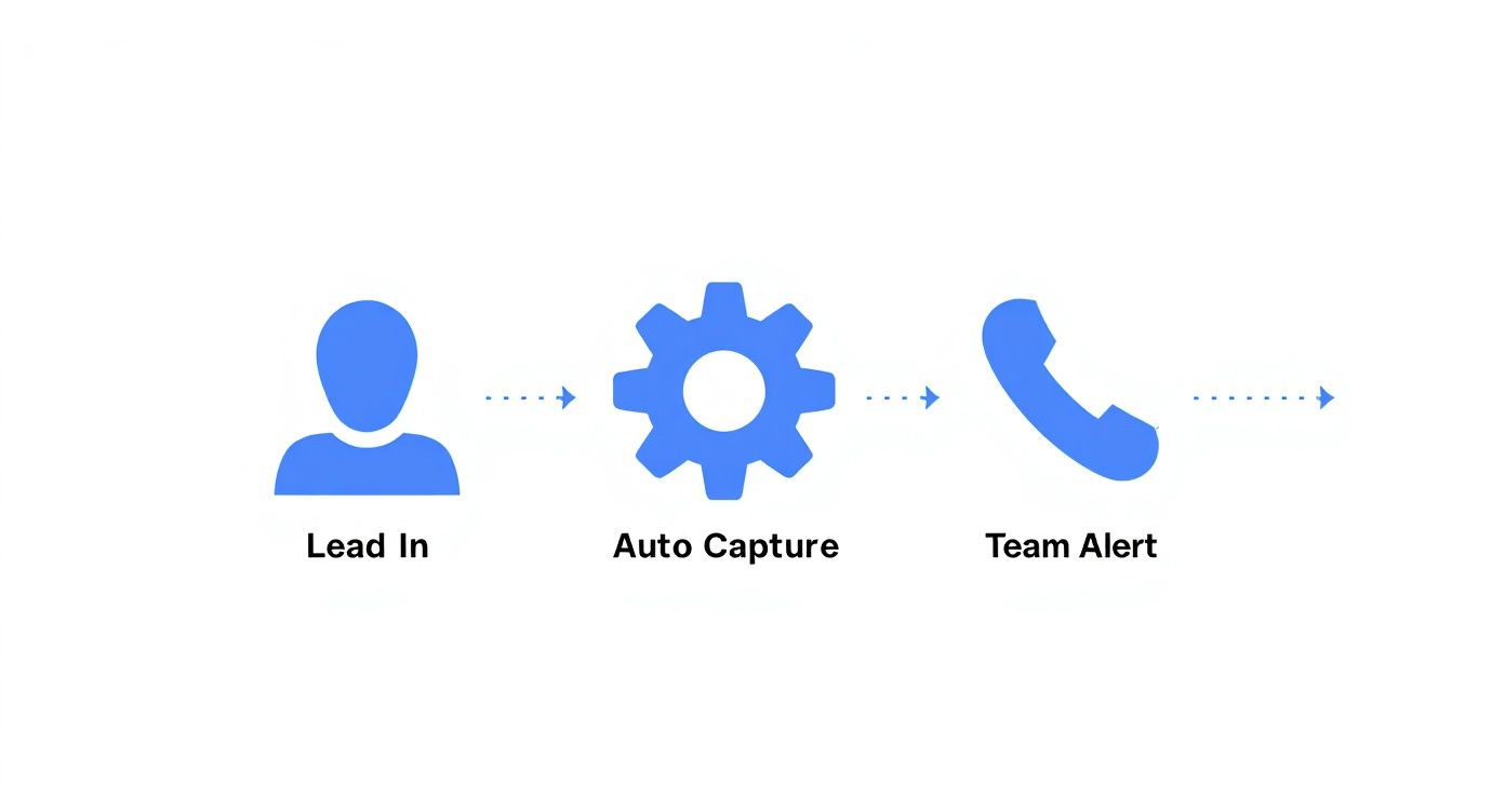 A simple process diagram showing lead generation: 'Lead In', 'Auto Capture', and 'Team Alert'.