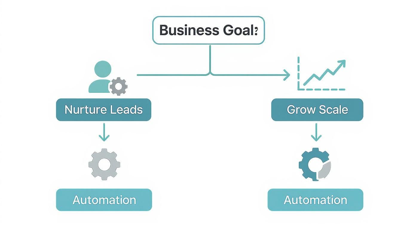 Infographic about marketing automation tools comparison