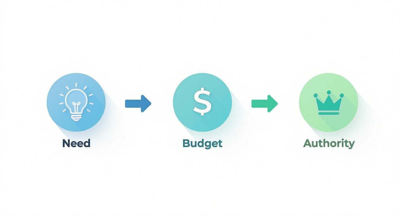 Infographic about what is a sales qualified lead