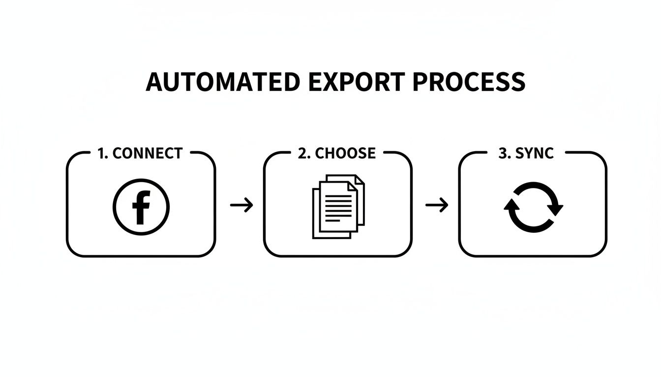 Diagram showing an automated three-step export process: Connect Facebook, Choose documents, then Sync data.