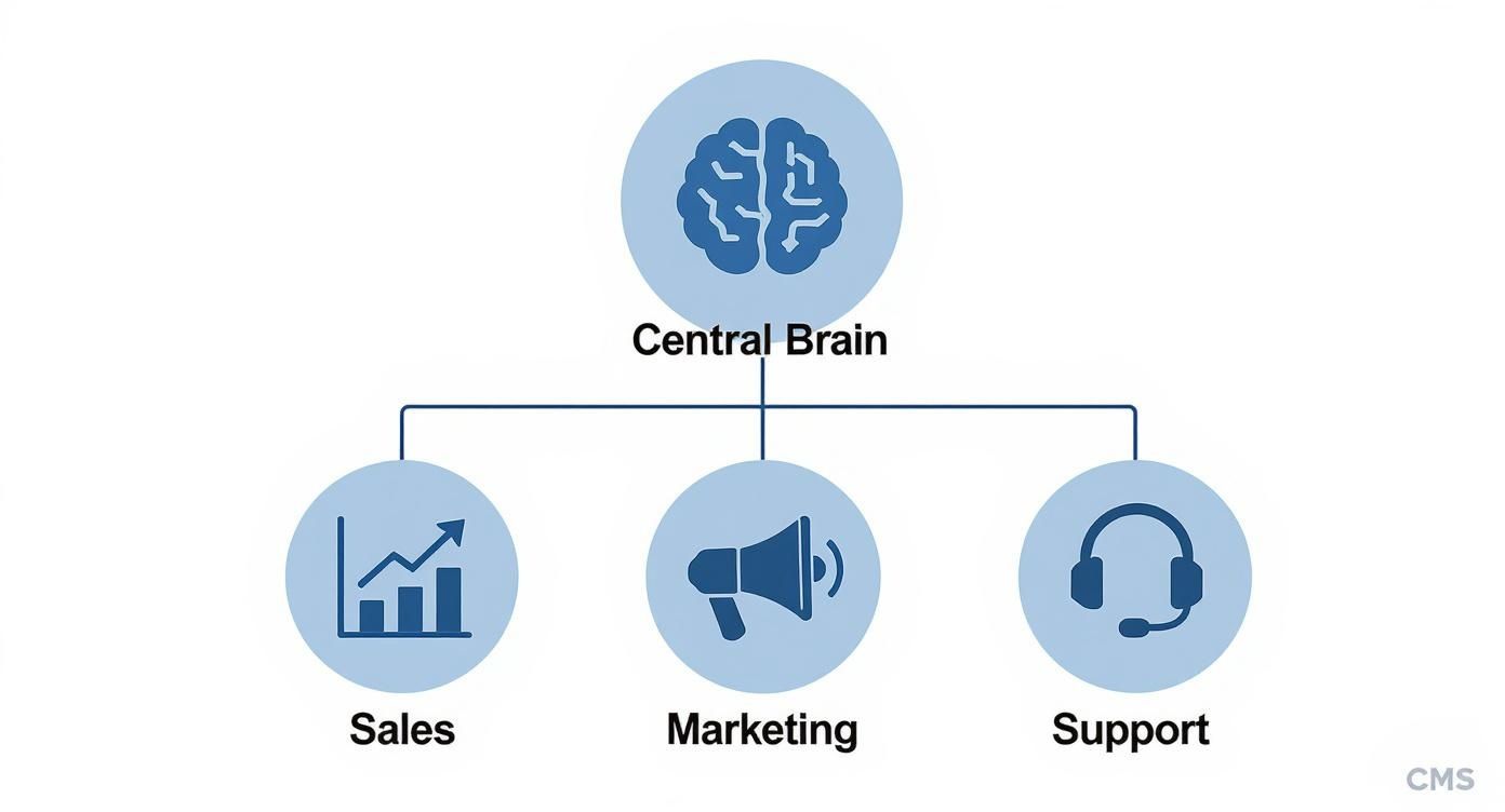 Organizational diagram showing Central Brain CRM system connected to Sales, Marketing, and Support departments