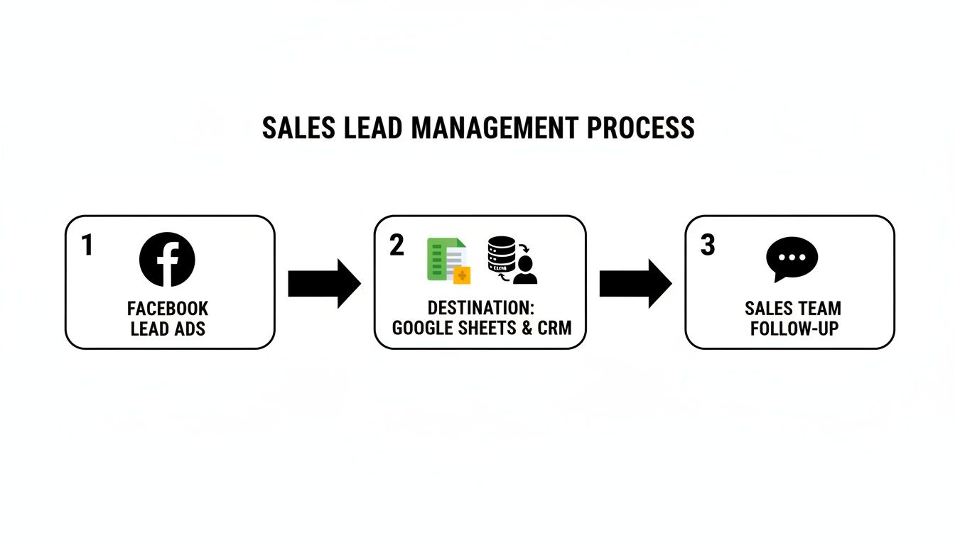 Sales lead management process from Facebook lead ads to Google Sheets, CRM, and sales team follow-up.