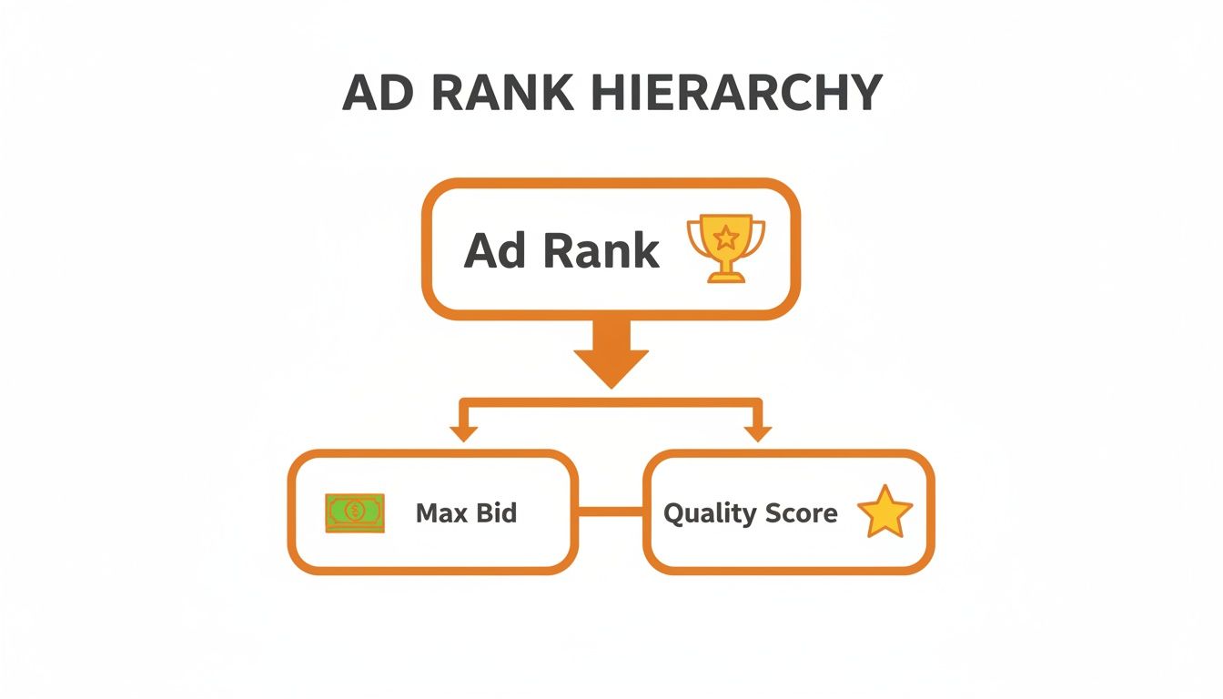 A diagram illustrating the Ad Rank hierarchy, showing Ad Rank determined by Max Bid and Quality Score.