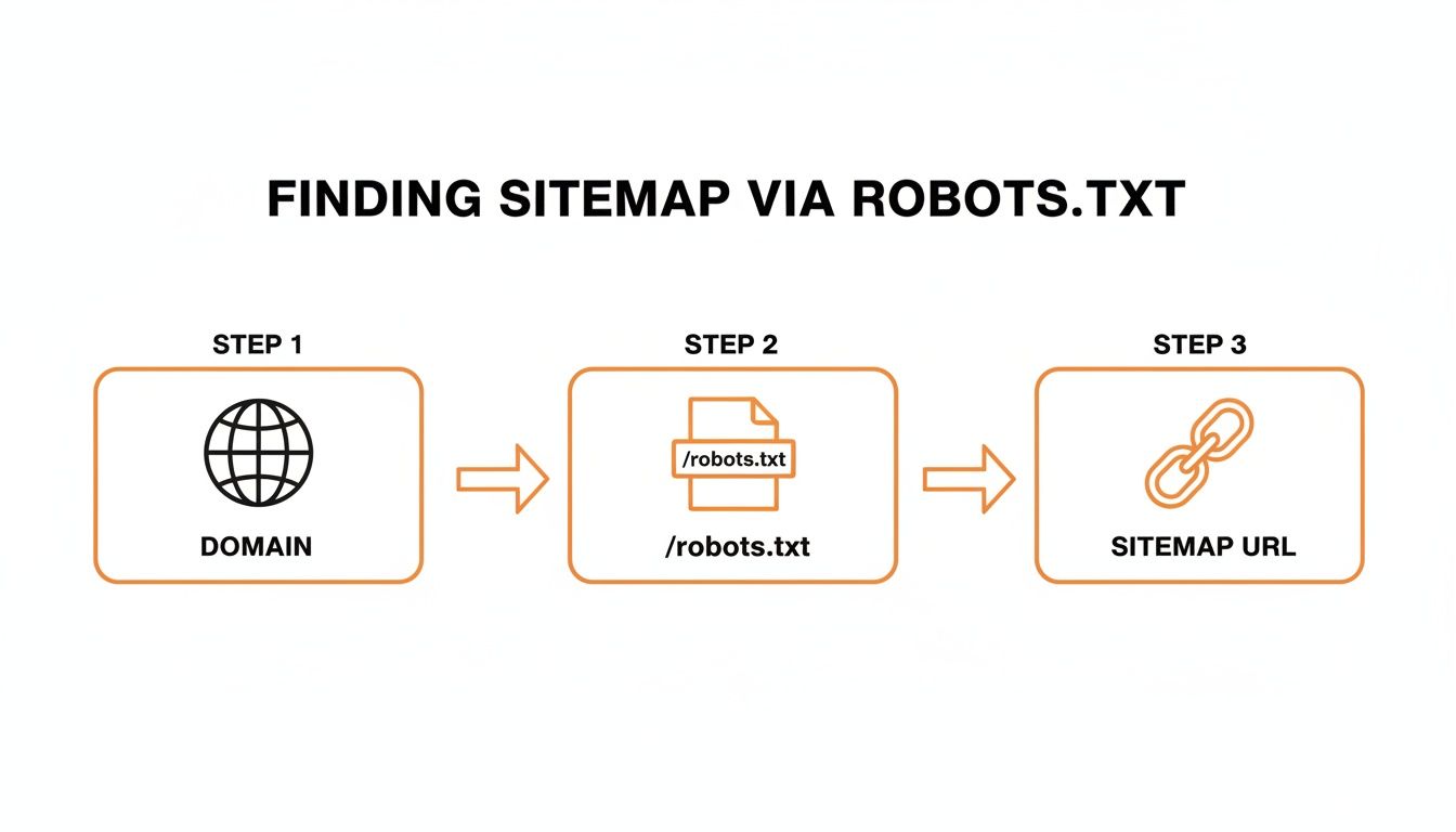 Diagram showing three steps to find a sitemap: from domain to robots.txt, then to the sitemap URL.